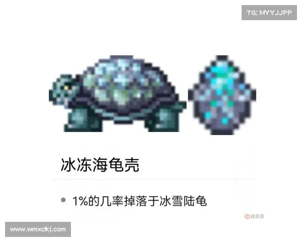 武魂玄冰加点的五大输出与防御技巧全解析与实战应用 武魂玄冰加点的五大输出与防御技巧全解析与实战应用