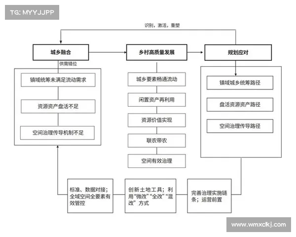 多元化发展路径的关键因素分析与实践探索 多元化发展路径的关键因素分析与实践探索