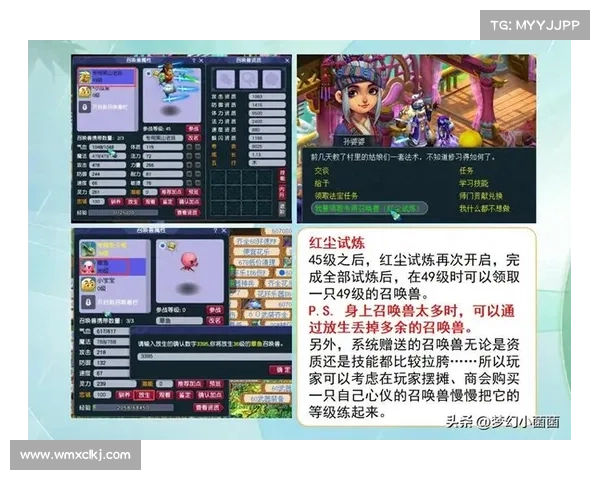 飞升梦幻西游全面攻略从新手入门到高手之路的深度解析 飞升梦幻西游全面攻略从新手入门到高手之路的深度解析