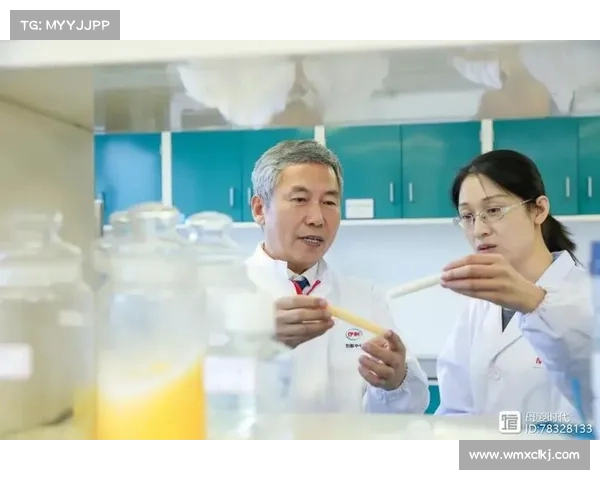 如何通过科学方法和策略优化提升战斗力实现全面优势