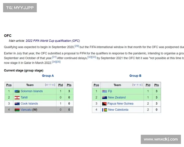 2023年法国对阵波兰比赛中的五大关键细节分析