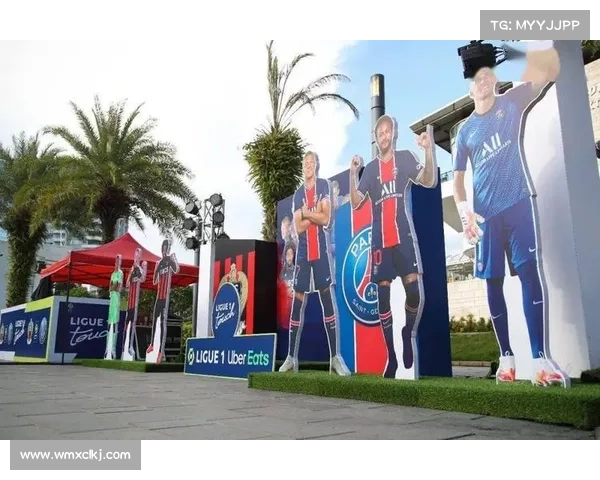 全面解读法甲冠军标志与规范化使用及推广应用实践详细指南手册集