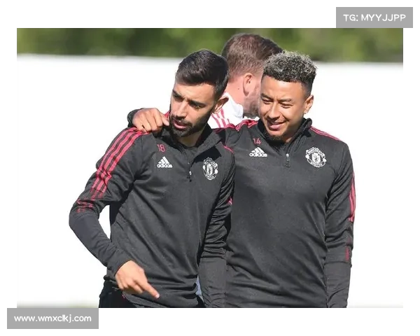 揭开林加德调侃事件背后的真相还原被误解的笑谈与真实心声