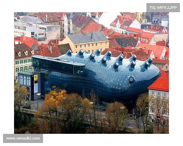 法甲冠军标志的变迁与演绎：从传统象征到现代视觉风格的转变