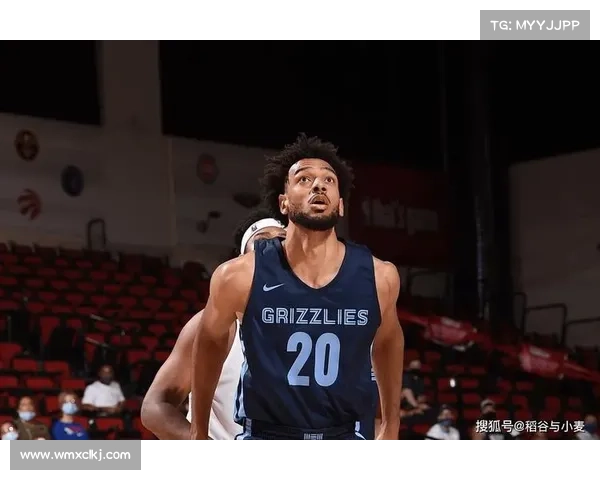 小麦国家队近期表现惊艳能否延续其辉煌成绩成为未来焦点